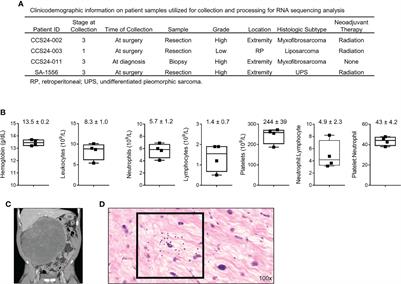 Transcriptome Analysis of Tumor-Infiltrating Lymphocytes Identifies NK Cell Gene Signatures Associated With Lymphocyte Infiltration and Survival in Soft Tissue Sarcomas